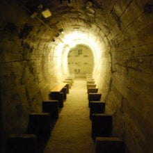 Load image into Gallery viewer, Entriamo nei bunker! - miguidi