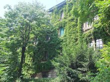 Load image into Gallery viewer, Milano segreta: chiostri, cortili e giardini di Porta Nuova - miguidi