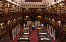 Load image into Gallery viewer, La Pinacoteca Ambrosiana | miguidi
