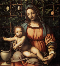 Load image into Gallery viewer, La Pinacoteca Ambrosiana | miguidi