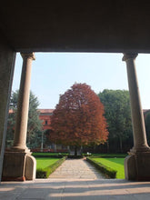 Load image into Gallery viewer, Chiostri e cortili della zona Magenta | miguidi