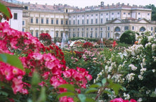 Load image into Gallery viewer, La villa reale di Monza: magnificenza a 360 - miguidi