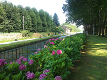 Load image into Gallery viewer, Le ville di delizia lungo il naviglio grande: visita a Villa Gaia Gandini e navigazione - miguidi