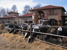 Load image into Gallery viewer, Gli angoli segreti del parco di monza: cascine, mulini e la sede rai way! - miguidi