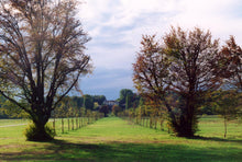 Load image into Gallery viewer, Gli angoli segreti del parco di monza: cascine, mulini e la sede rai way! - miguidi
