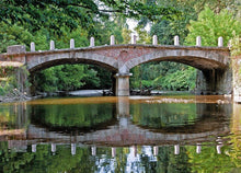 Load image into Gallery viewer, Gli angoli segreti del parco di monza: cascine, mulini e la sede rai way! - miguidi
