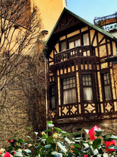Load image into Gallery viewer, Milano segreta: la residenza Vignale, lussuoso nido d'amore - miguidi