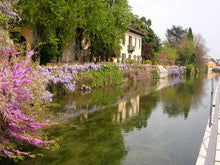 Load image into Gallery viewer, L'antico borgo di Gorla: l'eco della piccola Parigi che fu, dei bambini martiri e delle ville giardino sulle sponde della Martesana | miguidi
