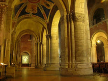 Load image into Gallery viewer, Pavia, città delle cento torri e la Certosa delle meraviglie - miguidi