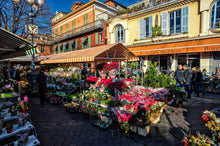 Load image into Gallery viewer, Provenza... Mon Amour! | miguidi