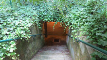 Load image into Gallery viewer, Entriamo nei bunker! - miguidi