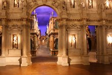Load image into Gallery viewer, Mostra Van Gogh a Vicenza! - miguidi