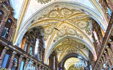 Load image into Gallery viewer, Navigare, dolce navigare: tra i fiori di loto e la citt&agrave; ideale... Sabbioneta! | miguidi