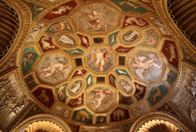Load image into Gallery viewer, Navigare, dolce navigare: tra i fiori di loto e la citt&agrave; ideale... Sabbioneta! | miguidi