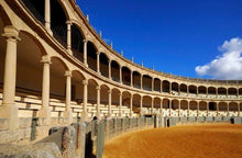 Load image into Gallery viewer, Andalusia, el encanto de la luz! | miguidi