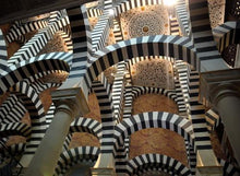 Load image into Gallery viewer, Bologna, tra goliardia e arte d'eccellenza, e il castello delle meraviglie! | miguidi