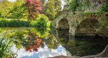 Load image into Gallery viewer, La riviera di Ulisse | miguidi