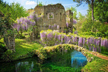 Load image into Gallery viewer, La riviera di Ulisse | miguidi