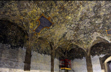 Load image into Gallery viewer, Leonardo e la Sala delle Asse! | miguidi | 